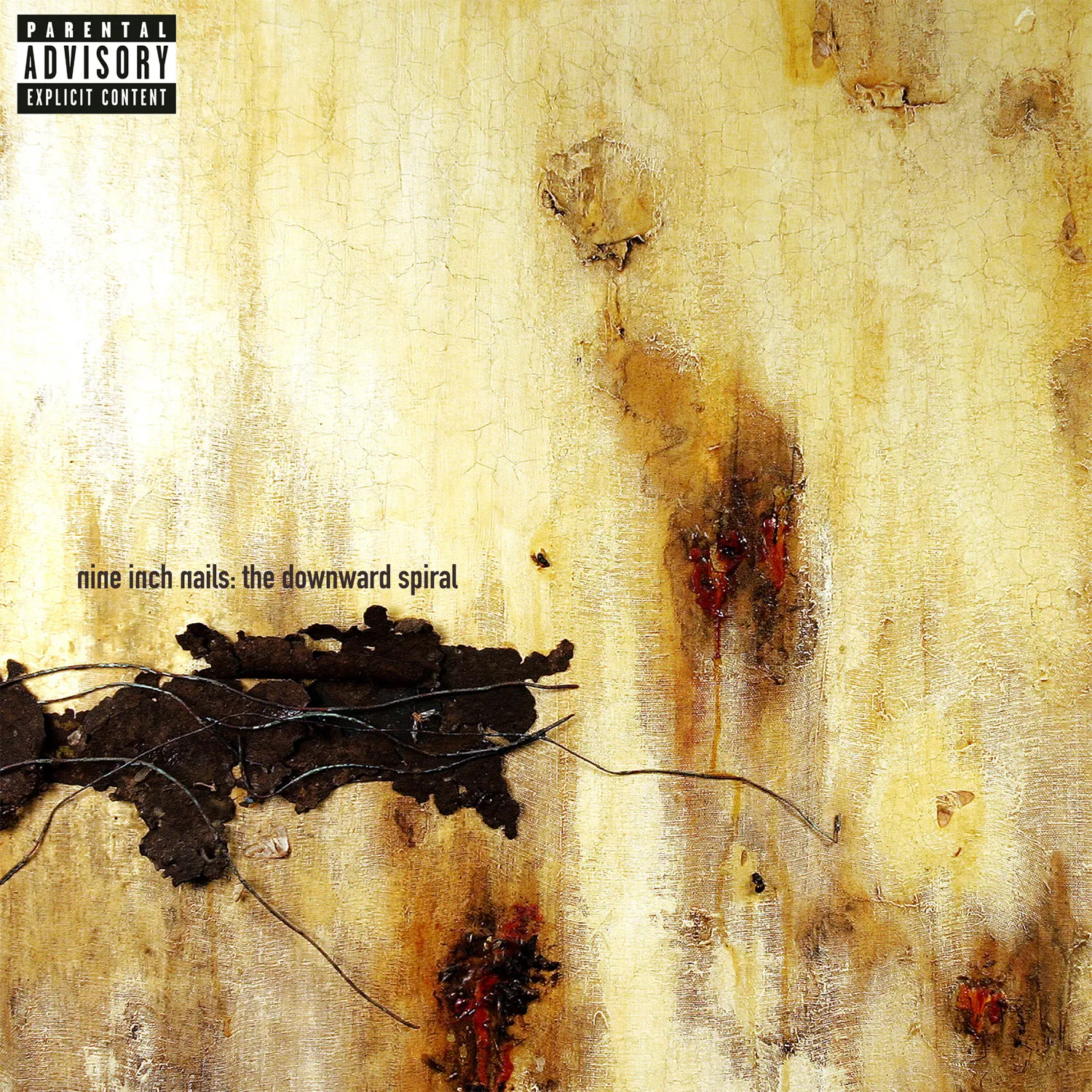 洋楽 NINE INCH NAILS / THE DOWNWARD SPIRAL NINE INCH NAILS - THE DOWNWARD SPIRAL (1994) - The Year